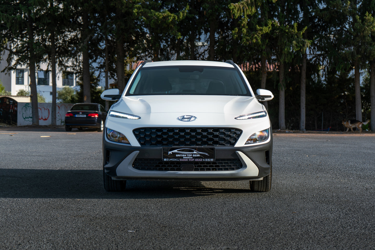 Hyundai Kona